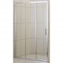Shower door 3D Plus 100