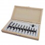 Svrdla set ZBS12TLG Holzmanm Maschinen