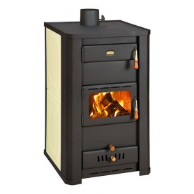 Prity S3 W21 fireplace for central heating