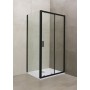 Shower door 100x195 cm Flash Wall 100 Black