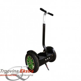 Electric foot scooter 10"