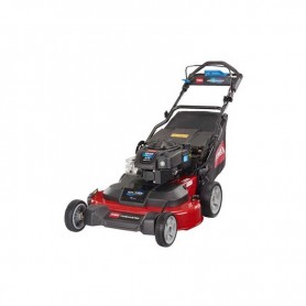 Lawnmower Toro Timemaster 76cm, B&S100 OHV, basket 88l, Ads