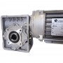 Electric motor with reducer 0,18kW/1F/60i
